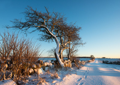 Det skeive (vinter)