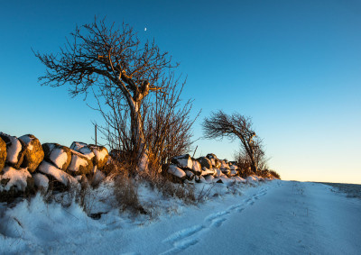 To skeive (vinter)
