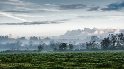 Tåkelandskap