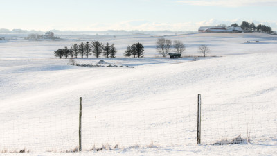 Vinter landskap