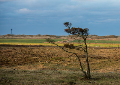 Joshua på Orre