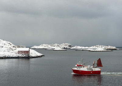 Til fiske