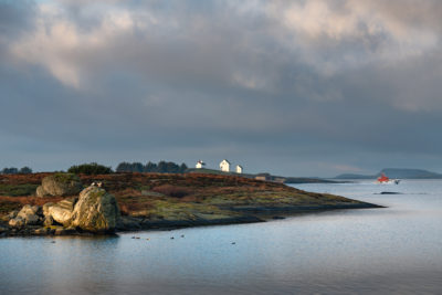 Tidlig morgen